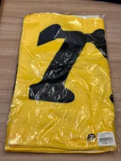 Item thumbnail for item 01fe0097-6965-420e-bcf9-9f7b732174fe