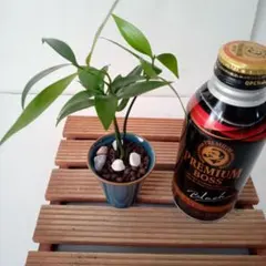 かなかたママ様 リクエスト 3点 まとめ商品