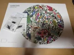 Wacom Intuos Pro ペンタブレット PTH-660 medium