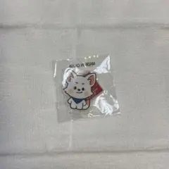 PSYCHIC FEVER 小波津志　アクリルスタンド　会場限定ガチャ