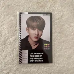 Straykids スキズ チャンビン トレカ oddinary