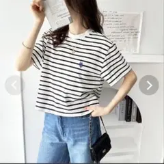 POLO ジーラ コラボ 半袖 ショート丈 Tシャツ ポロアッスン M ボーダーのサムネイル