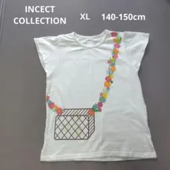 INCECT COLLECTION 女の子　XL 140cm 150cmのサムネイル
