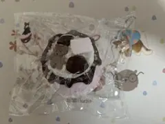 dorostudioスクイーズ くま チョコのサムネイル
