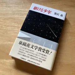 Item thumbnail for item be5d1c8b-8aa7-4eeb-8493-66f10c581195