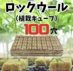 【園芸用土】ロックウール100穴 簡単便利！水耕栽培の種まきに☆植栽キューブのサムネイル