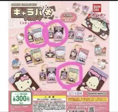 サンリオキャラクターズ キャラパキ ミニチュアコレクション　３点セット