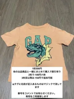 ⑤baby GAP 恐竜プリント Tシャツ 105cm