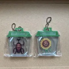 Item thumbnail for item 68fd5a3d-2a1d-490e-be23-4a8522d0611f