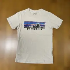 patagonia スリムフィット Tシャツ XS