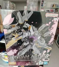 MG 1/100 ガンダムアストレイ 落英白・朽木黒 中国限定 未開封新品