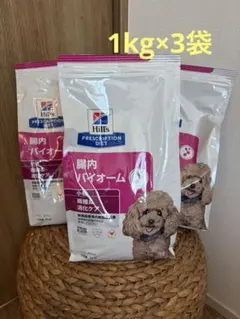 Hill's 腸内バイオーム 2kg 4袋セット - メルカリ