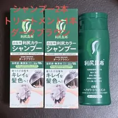 利尻カラー トリートメント＆シャンプー5本セット ダークブラウン 61arpPTUCxL._AC_UL210_SR210,