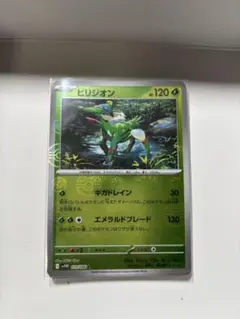 ホワイトフレア・ブラックボルト モンスターボールレア15枚セット