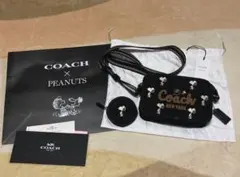 ⭐︎20%セール中⭐︎COACH × PEANUTS(スヌーピー)カメラ バッグ