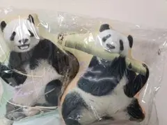 上野動物園 クッション シャオシャオ レイレイ 2点セット シャオシャオ・レイレイ クッション2個セット 上野動物園 シャオレイ