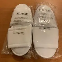 Item thumbnail for item bf3fb68f-a7ba-41b4-976e-5614c51f74a2