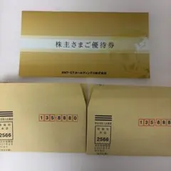 KNT-CTホールディングス 株主優待券 旅行割引券 2枚のサムネイル