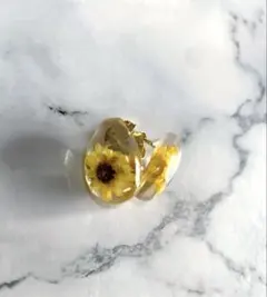 Item thumbnail for item 45ea8818-3bf9-4ead-835f-9ea0b89cbadd