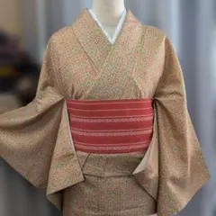 2ー30 紬の小紋です