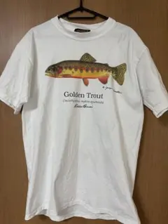 Item thumbnail for item 98a0c01e-ab2f-40d1-96ec-207c0ab63b6c