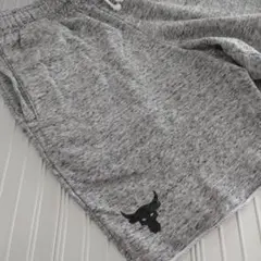 Project Rock / UNDER ARMOR【美品】ショートパンツ M