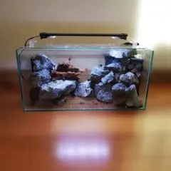 Item thumbnail for item 04ab2a61-b547-4ead-9192-6db19df95579