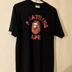 おおよそ22年前のAPE Tシャツ - メルカリ