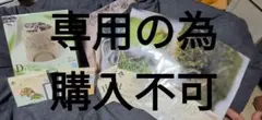 専用出品の為