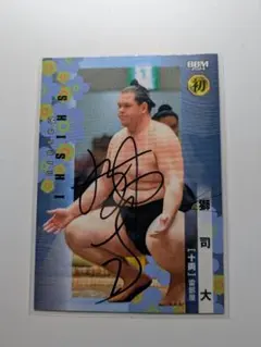 Item thumbnail for item 1684c446-45a0-4bd2-b220-b34718aea691