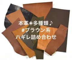 本革◈多種類♪ブラウン系ღハギレ詰め合わせ
