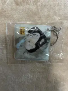 Item thumbnail for item 465f8205-9419-4b29-84aa-aa0fe0ebe319