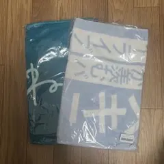 Item thumbnail for item 5c9608ba-d2b6-4dba-8169-1387e0775fd5