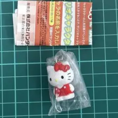 サンリオ　めじるしアクセサリー　キティ