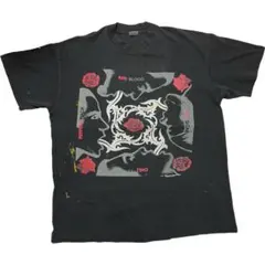 2026年最新】Blood Sugar Sex Magikの人気アイテム - メルカリ