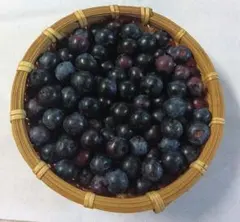 ブルーベリー　生　200g　無農薬のサムネイル