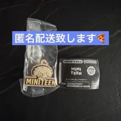 ミニティーンぷっくりめじるしアクセサリー　ドギョム