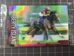 サラブレッドホースコレクション　リバティアイランド