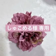 しゅこめる様 リクエスト 3点 まとめ商品