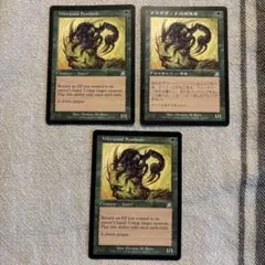 MTG Wirewood Symbiote ワイアウッドの共生虫 3枚セット