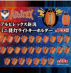 アルビレックス新潟ライト