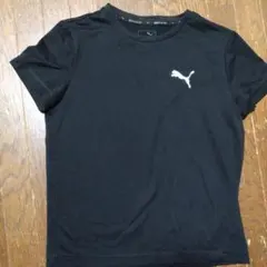 Puma 　ドライTシャツ 150