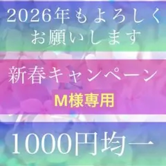 M様専用、霊視鑑定、占い、思念伝達、縁結び、ヒーリング、チャット、電話占い、等
