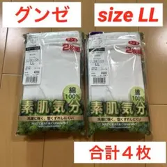 未使用　グンゼ　天引きブリーフ　前あき　２枚組×2個　合計４枚　綿100%