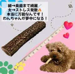 【S840】犬のおもちゃ　鹿の角　犬用　歯磨きガム　天然素材　無添加　鹿角ガムのサムネイル