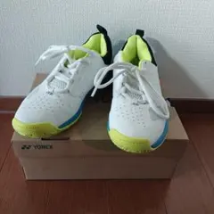 Item thumbnail for item 59b9df52-96f6-41da-81fc-0104ba74329d