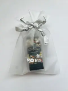 POLA ボディシャンプー