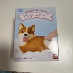 もっちりころりん ぷりぷりコーギー レッドホワイト