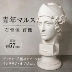 石膏像 青年マルス首像 胸像 美術 教材 デッサン オブジェ - メルカリ