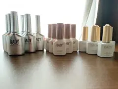 GAOY 18本　マグネット4本　ブルーミングジェル